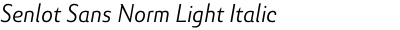 Senlot Sans Norm Light Italic